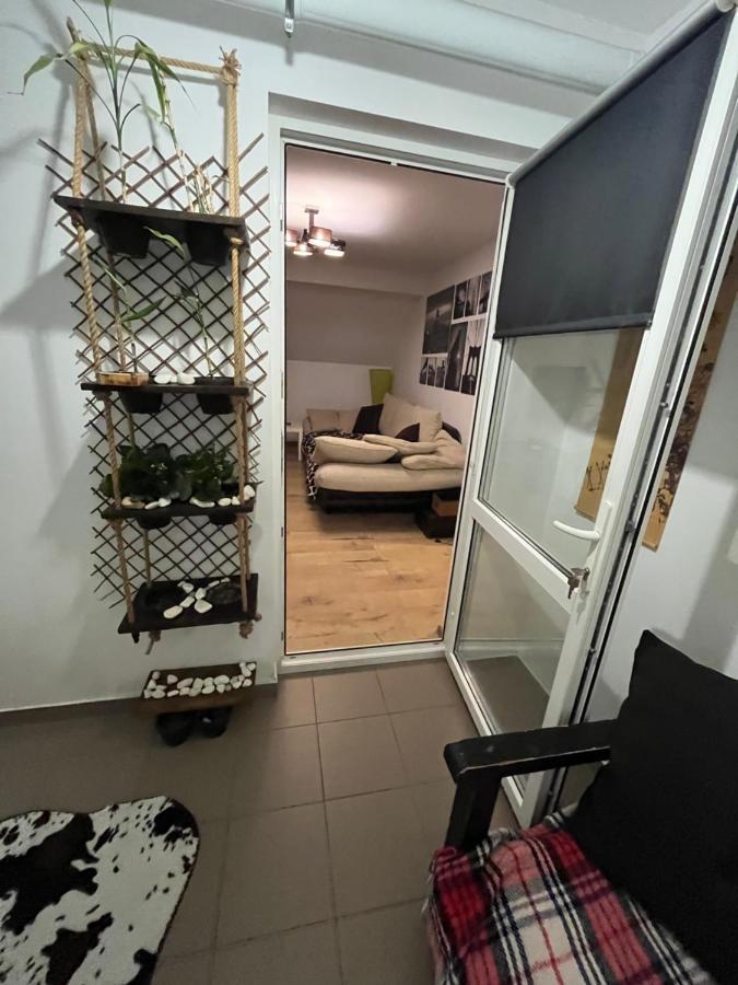 Appartamento O mansarda intima :) - the intimate attic :) Bragadiru Esterno foto